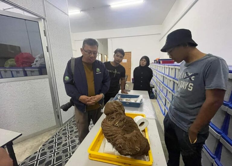 Screenshot_2023-07-21-13-47-58-72_a23b203fd3aafc6dcb84e438dda678b6