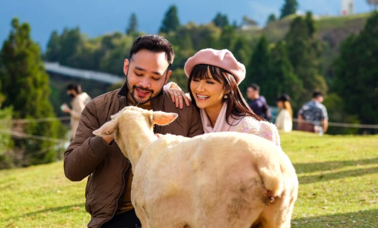 WhatsApp Image 2023-07-25 at 20.10.12