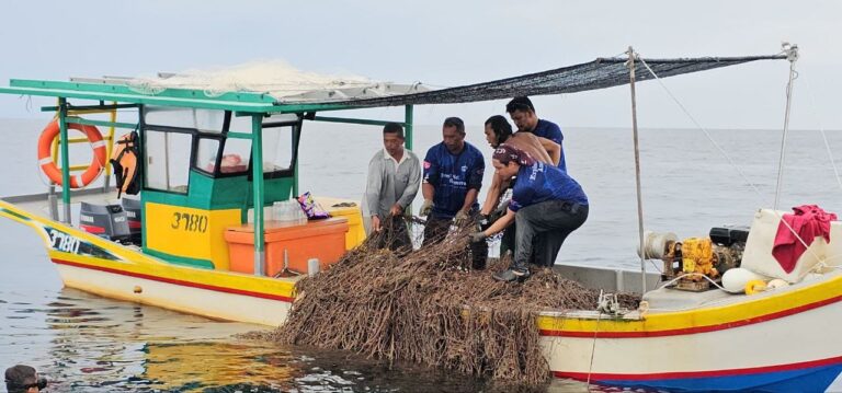 WhatsApp Image 2023-11-10 at 14.25.45